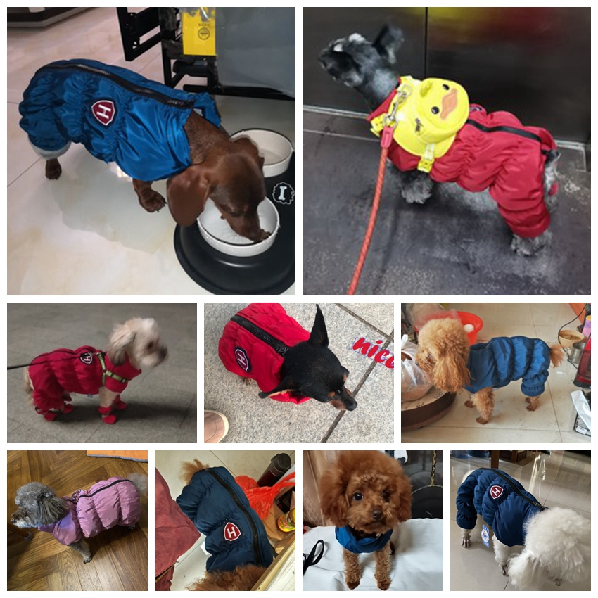 Fermuar Kar Unisex Köpek Su Ge - Winter Clothing 1 Year Old incelemesi ve fiyatı